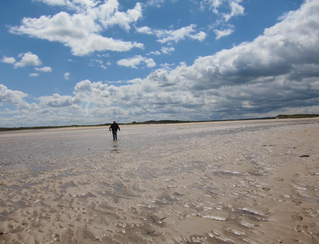 Tosh wades across the outflow at Beadnell Bay