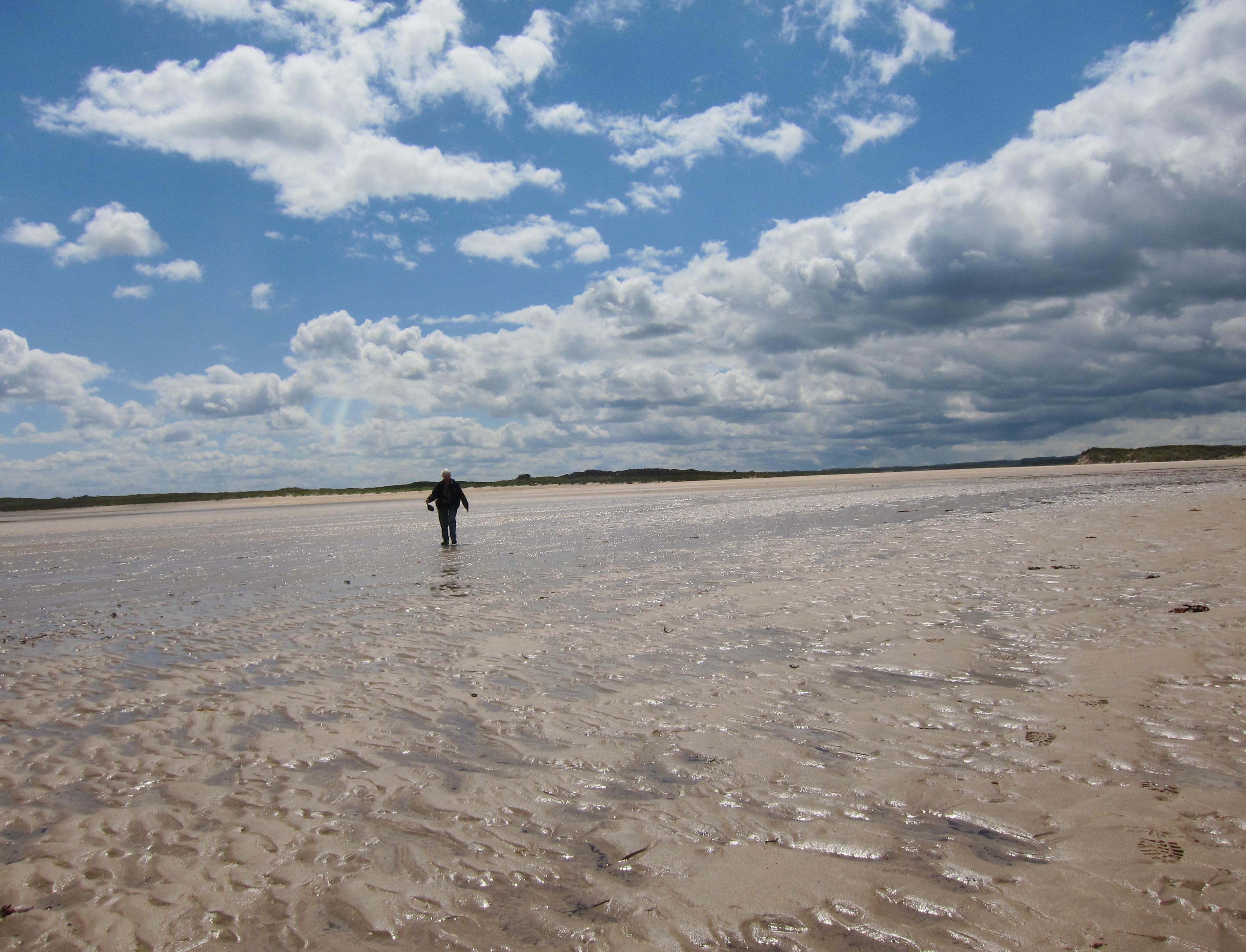 Tosh wades across the outflow at Beadnell Bay