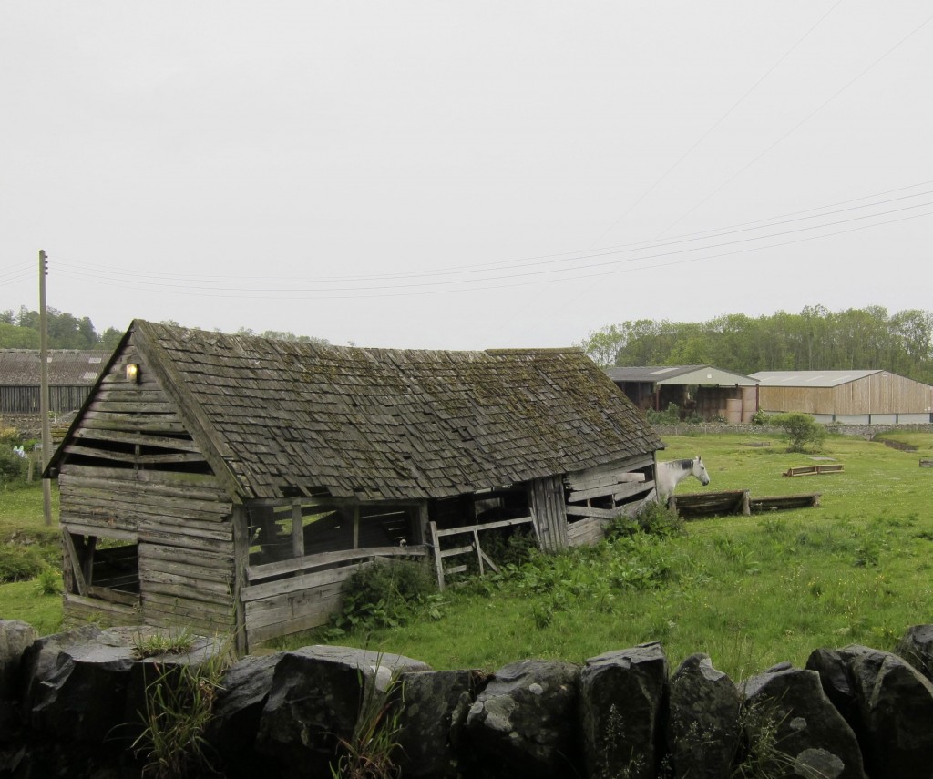 At Swinhoe Farm