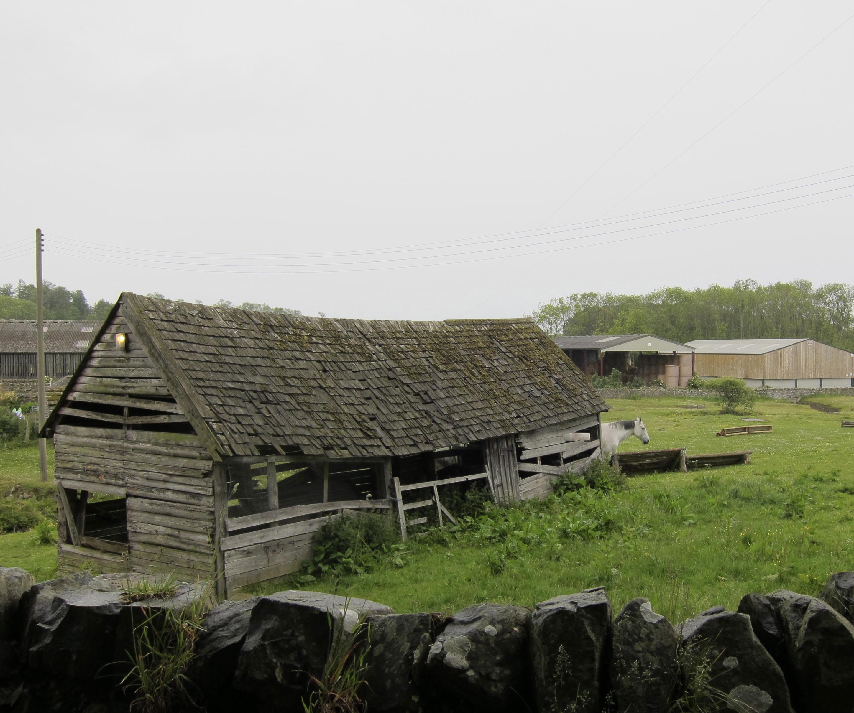 At Swinhoe Farm