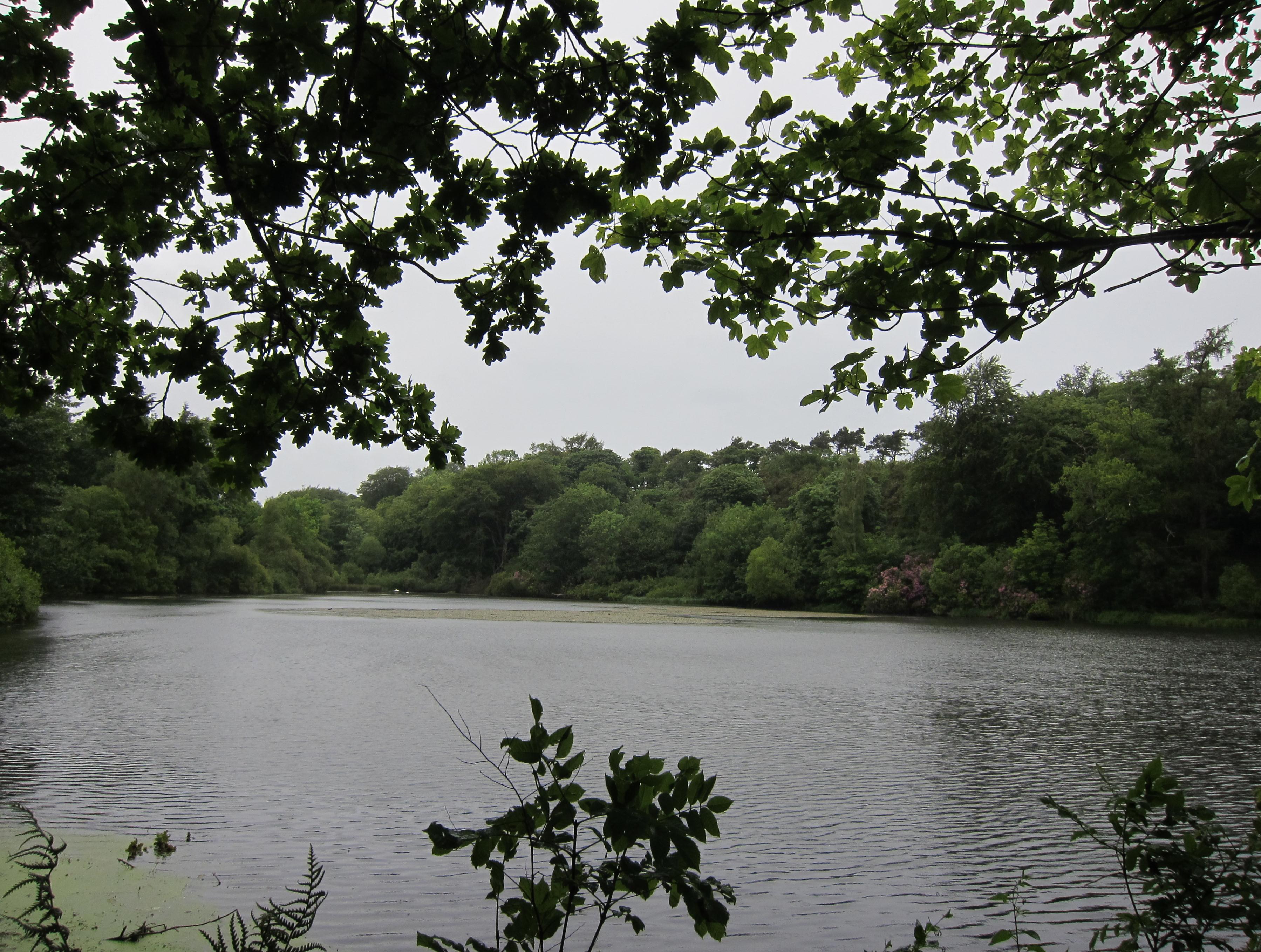 At Swinhoe Lakes