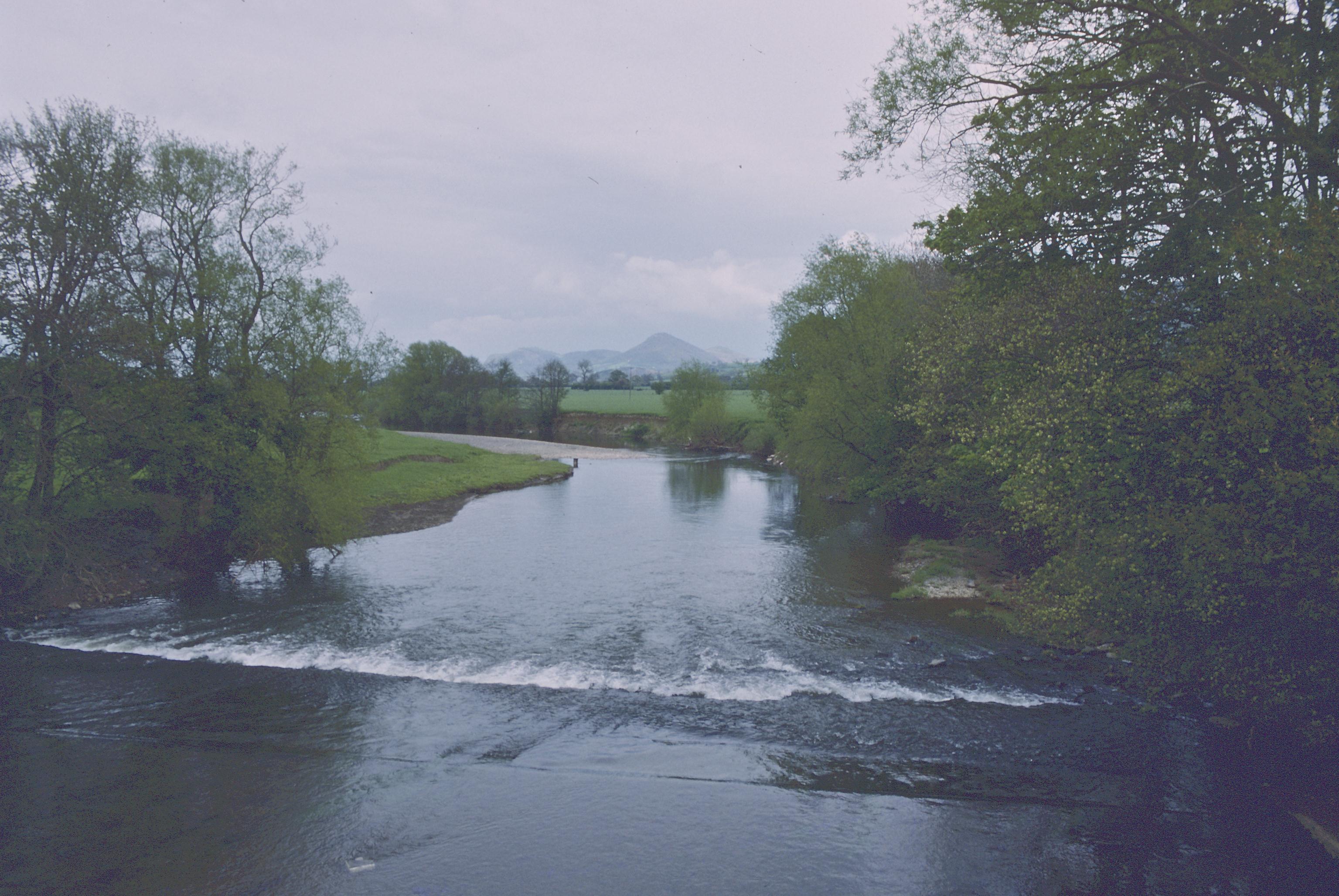 The Severn near Welshpool
