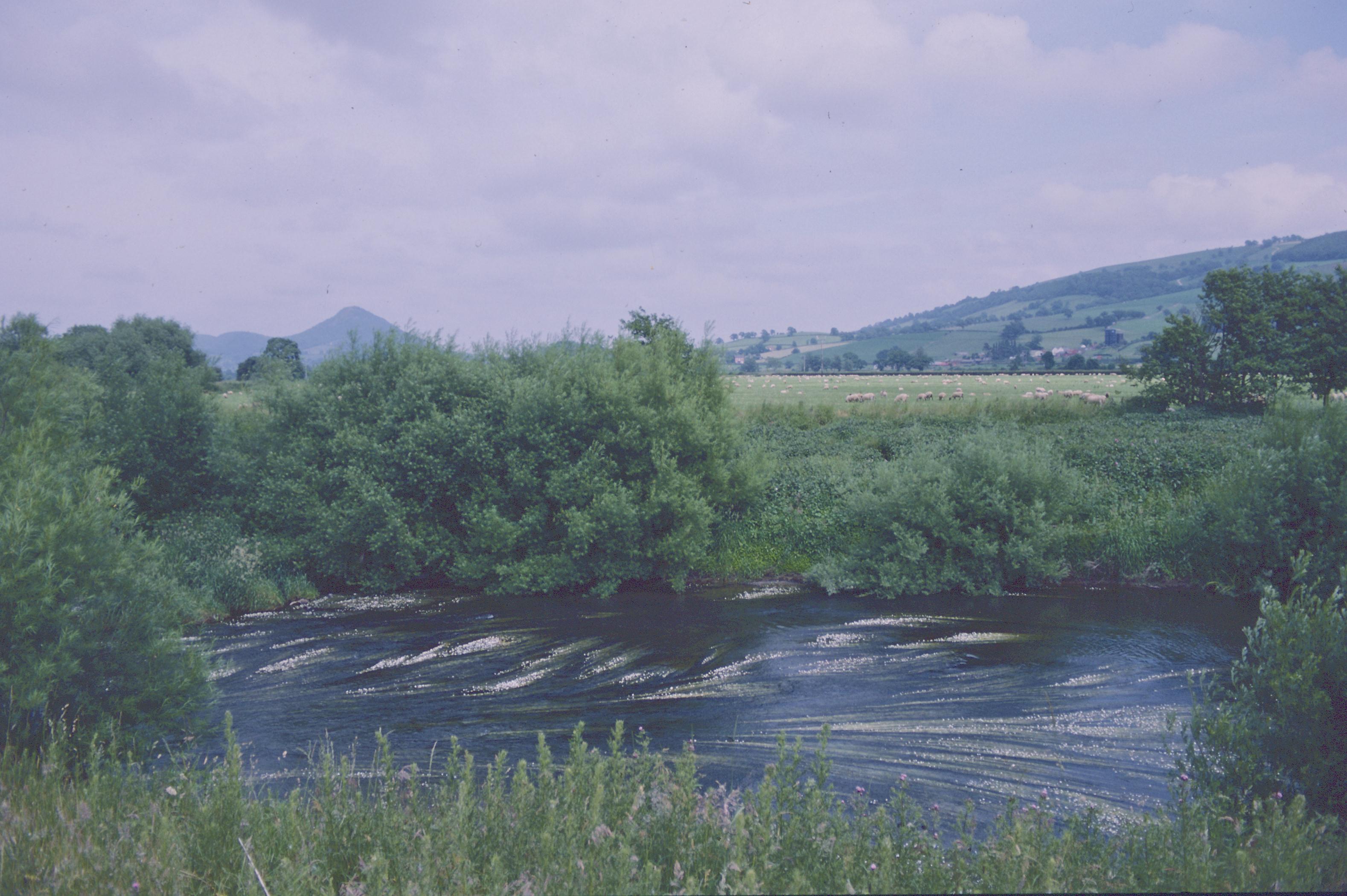 The Severn near Buttington