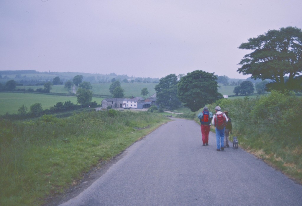The road to Carreg-y-big