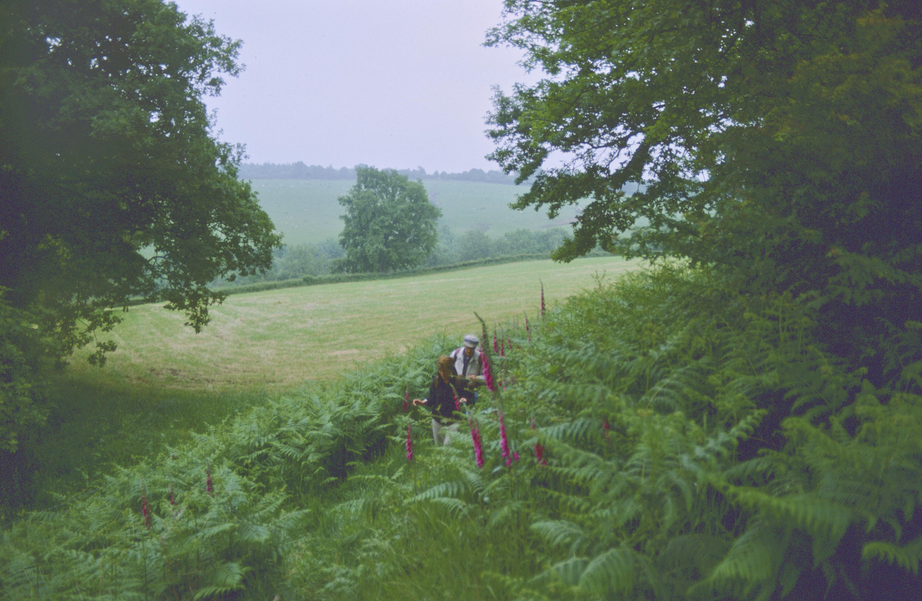Dorothy and Harold near Ty’-n-coed