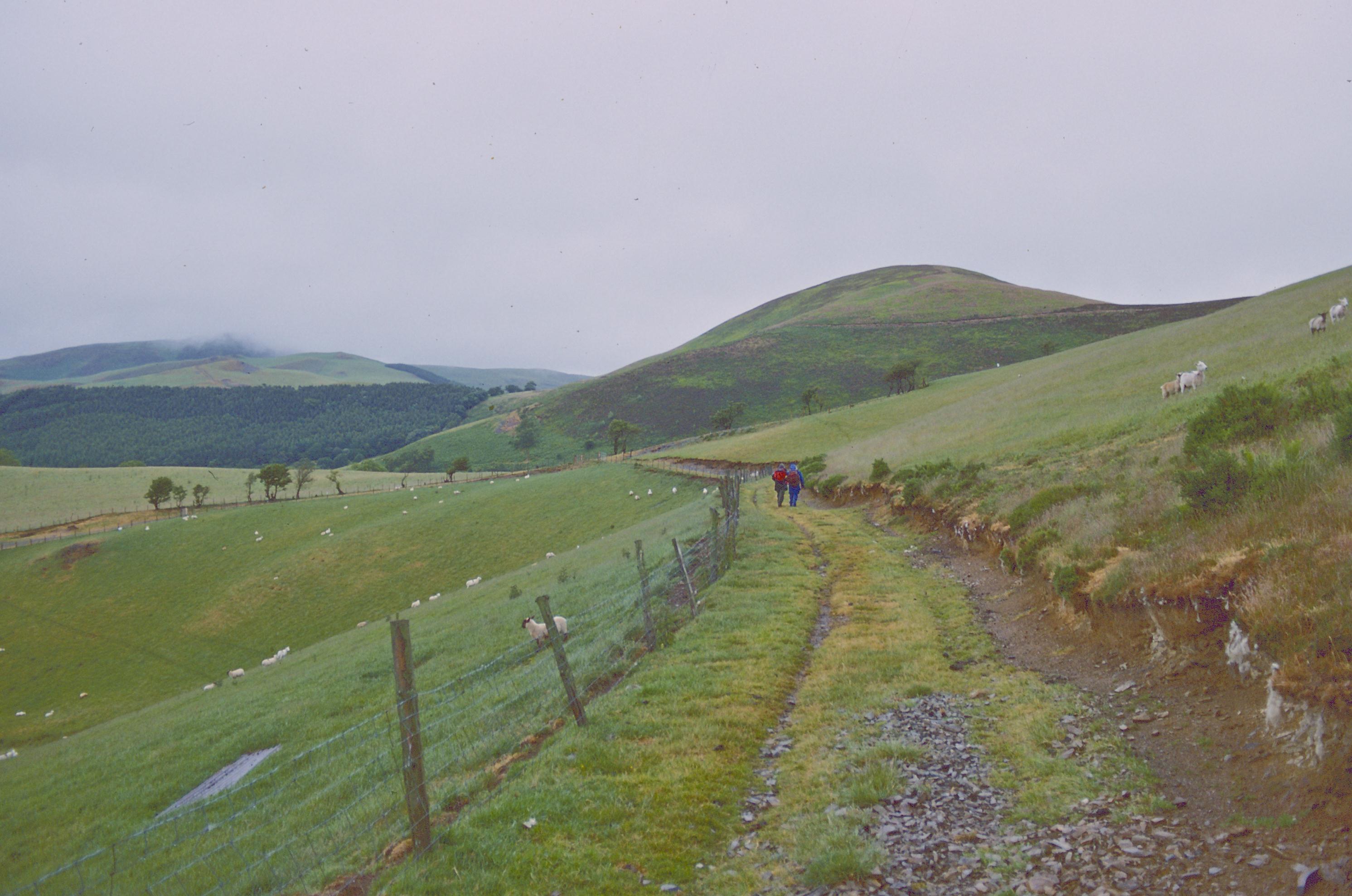 Approaching Moel Gyw