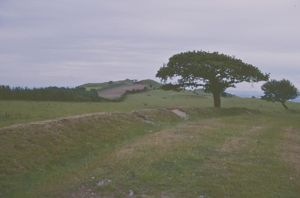 Looking back from Pant-glas