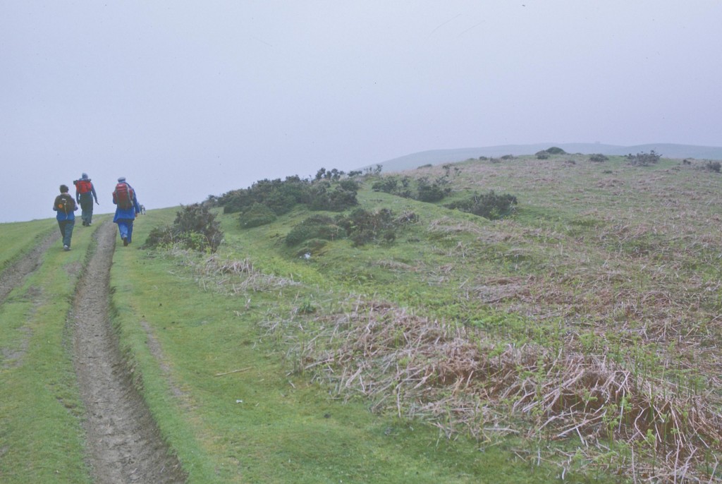 Ascending the Hergest Ridge