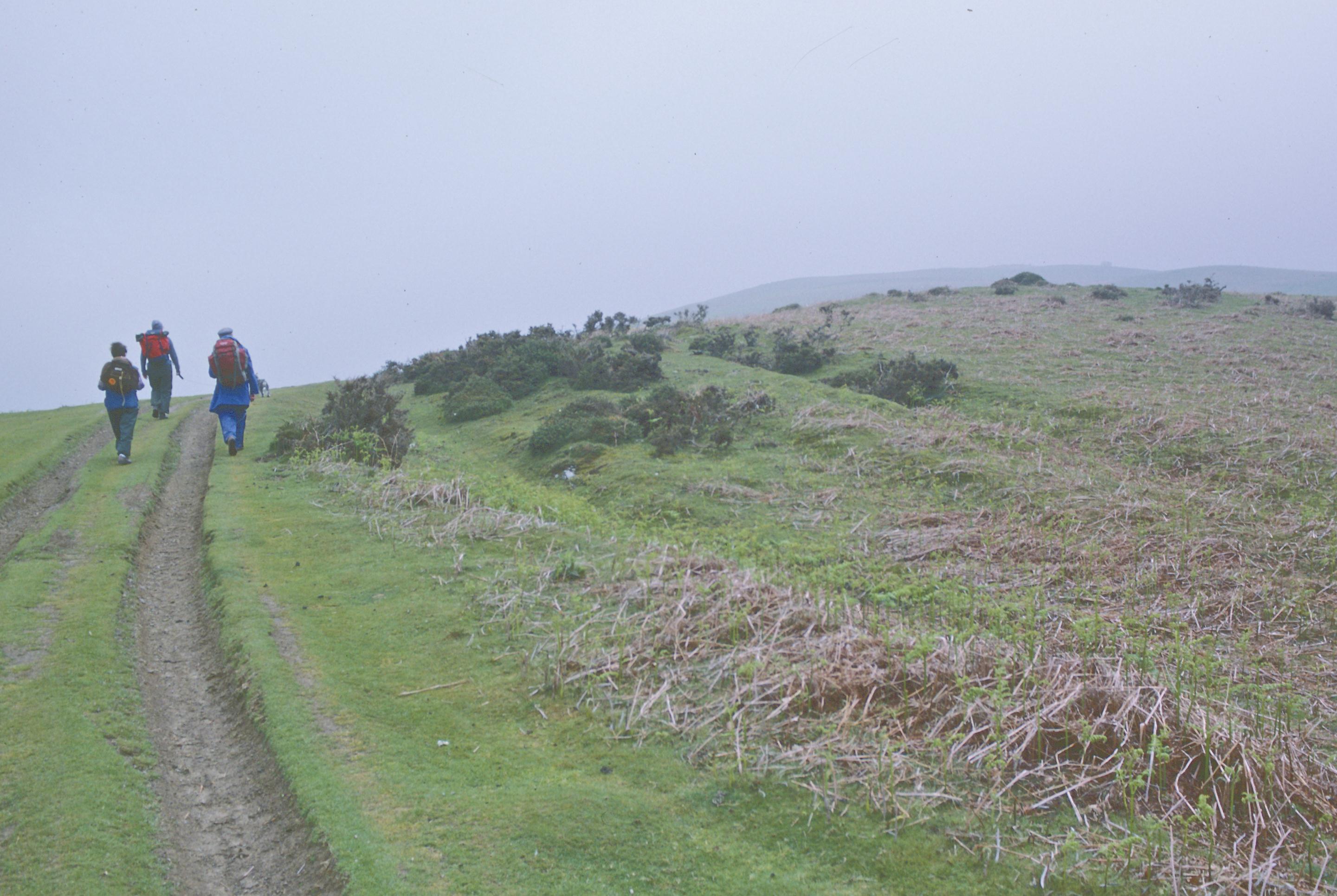 Ascending the Hergest Ridge