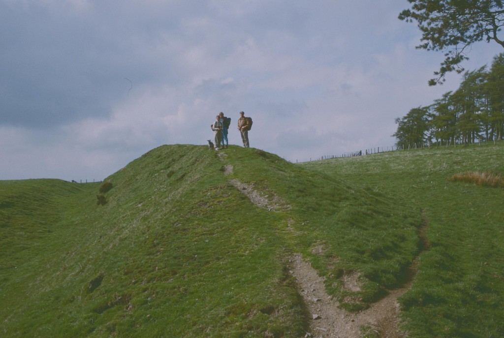 The dyke on Llanfair Hill