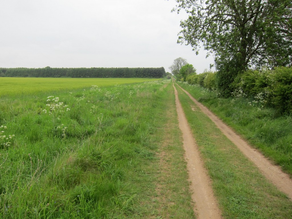 Approaching Pentonville Plantation