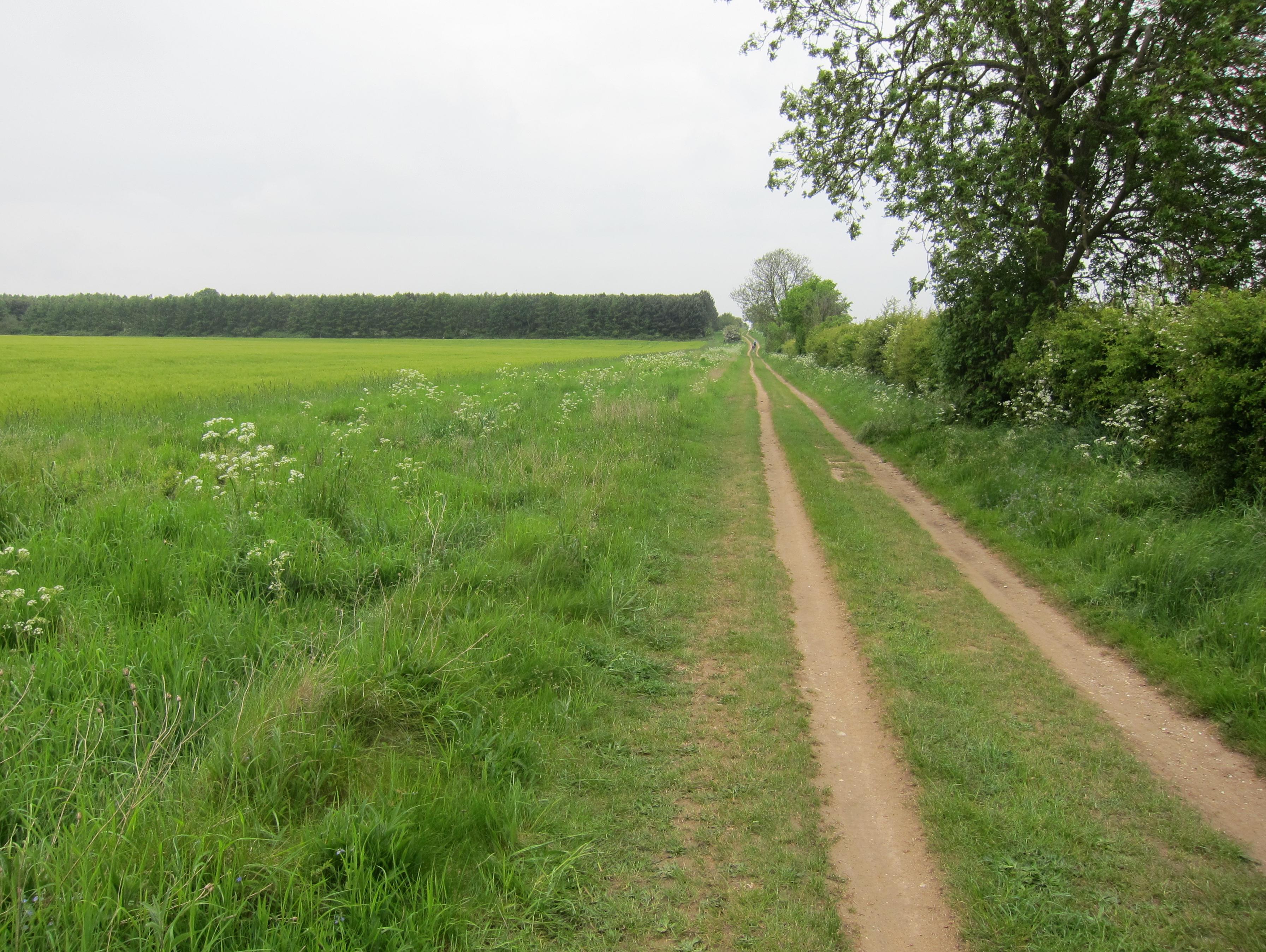 Approaching Pentonville Plantation