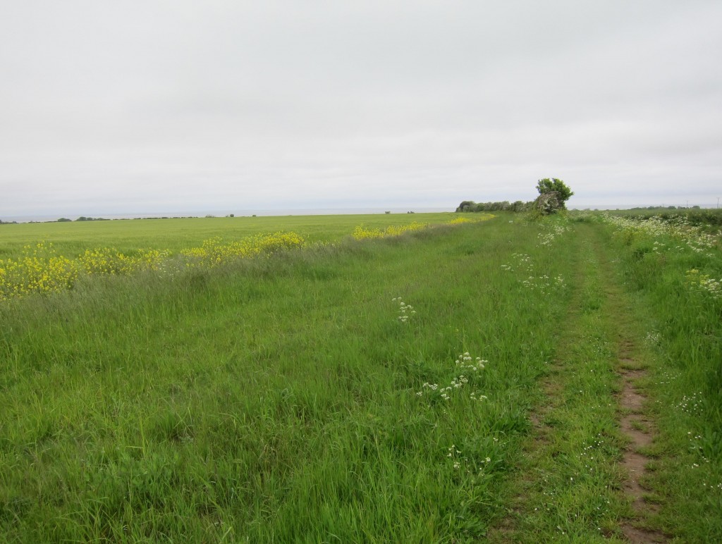 From Ringstead to the sea