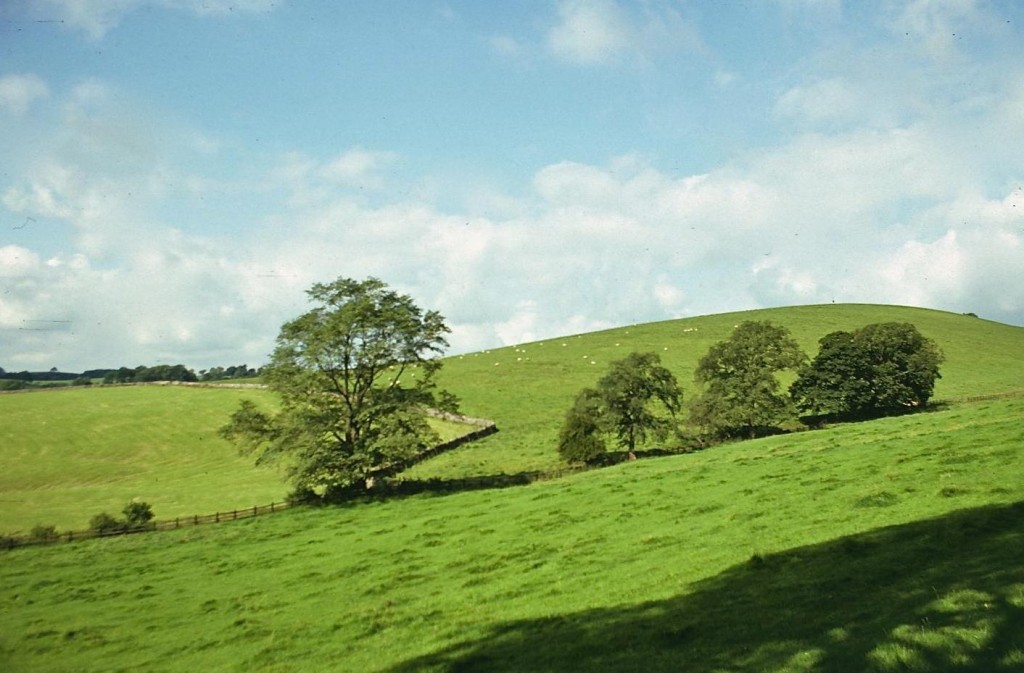 Looking west from Bell Busk Lane