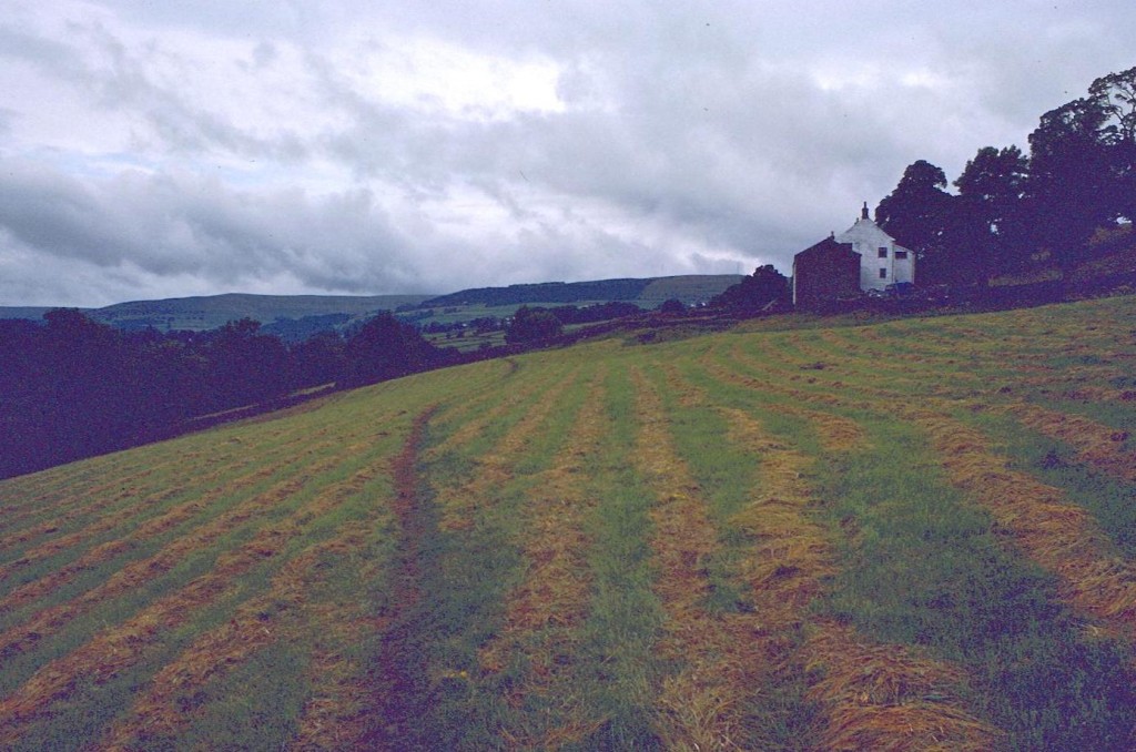 The South Tyne Valley, about a mile south of Alston