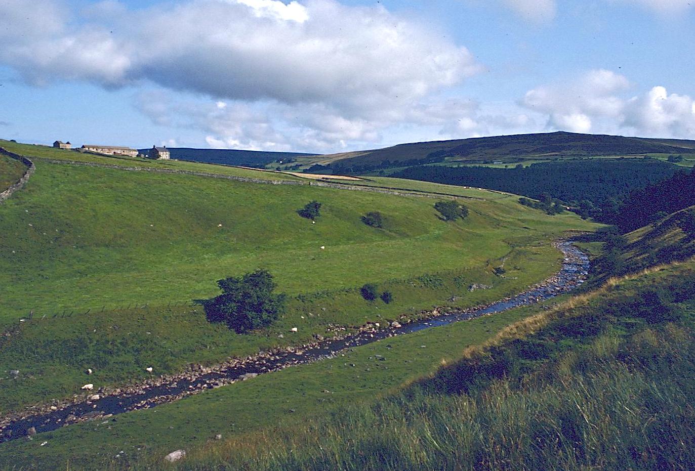 Gilderdale Burn
