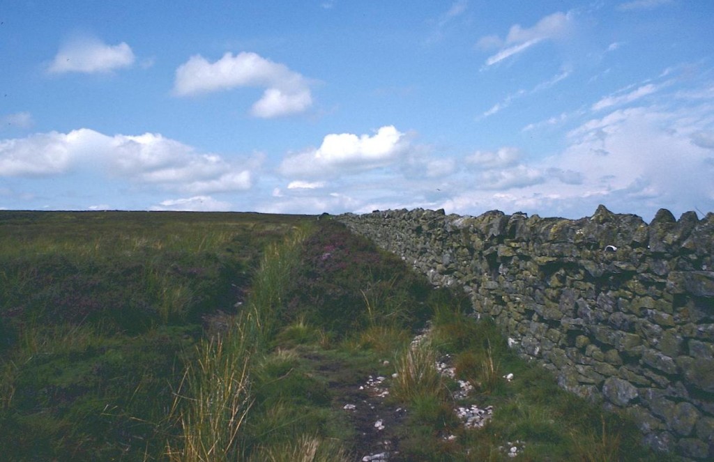 The Maiden Way north of Glendue Burn