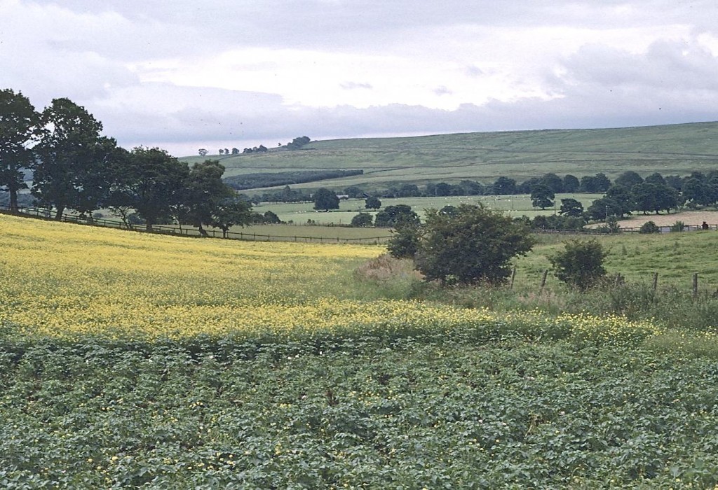 The North Tyne Valley, north of Bellingham