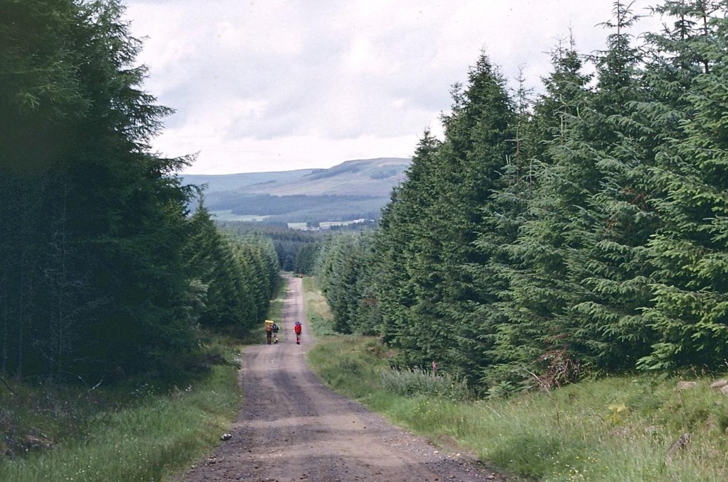 Approaching Blakehopeburnhaugh