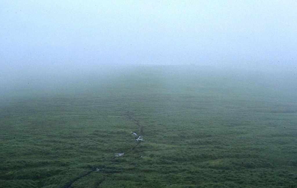 Somewhere in Upper Coquetdale