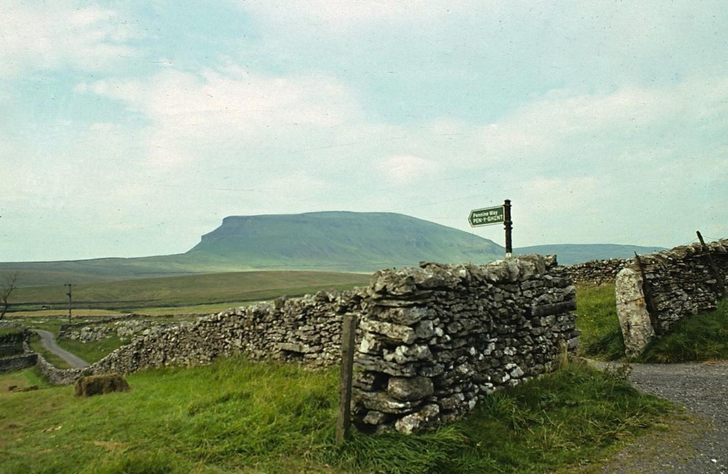 Penyghent from Dale Head Farm