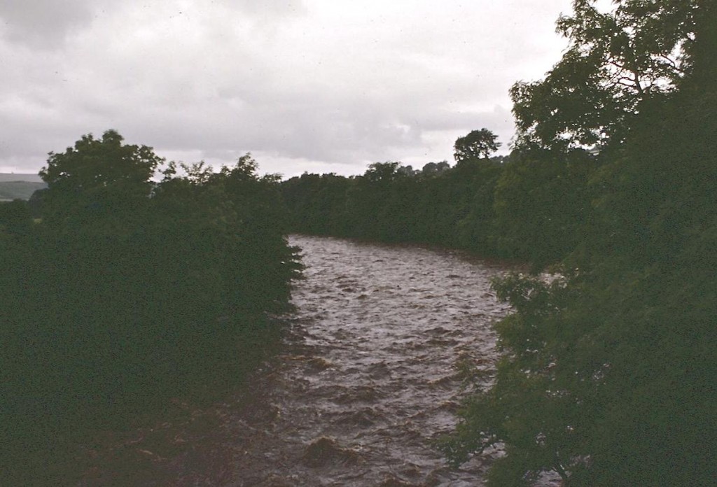 The Tees from the Middleton bridge