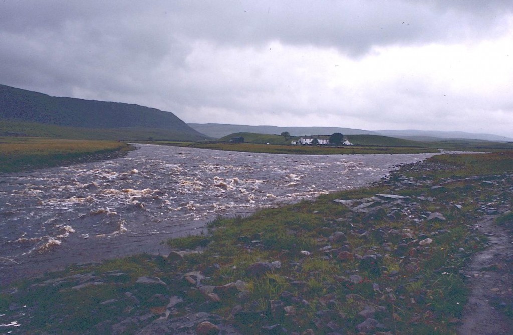 Langdon Beck joins the Tees