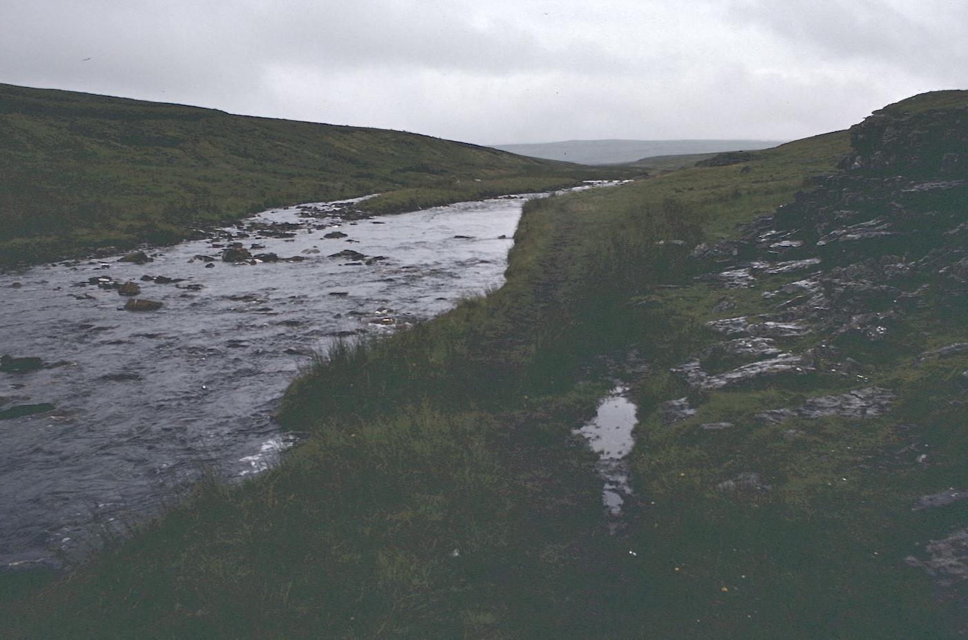 Maize Beck