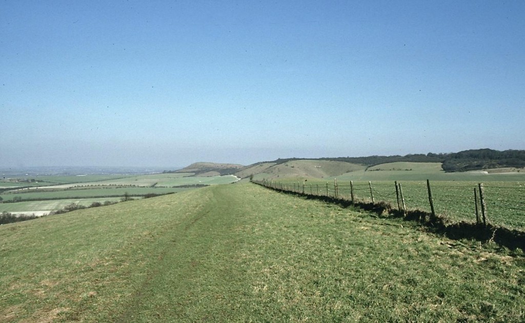 Beacon Hill from Pitstone Hill