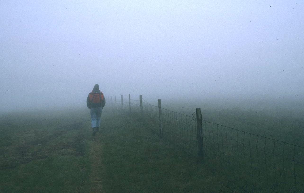 Tosh disappears into the mist on Red Crag.