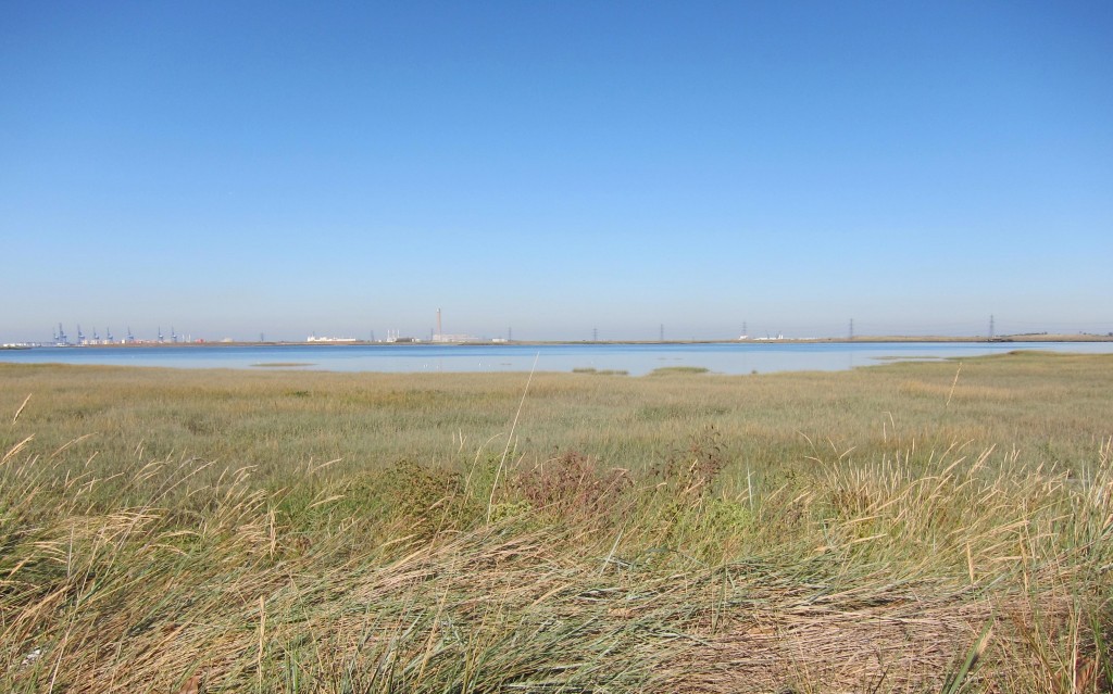 The shoreline scene between Lower Halstow and the Swale