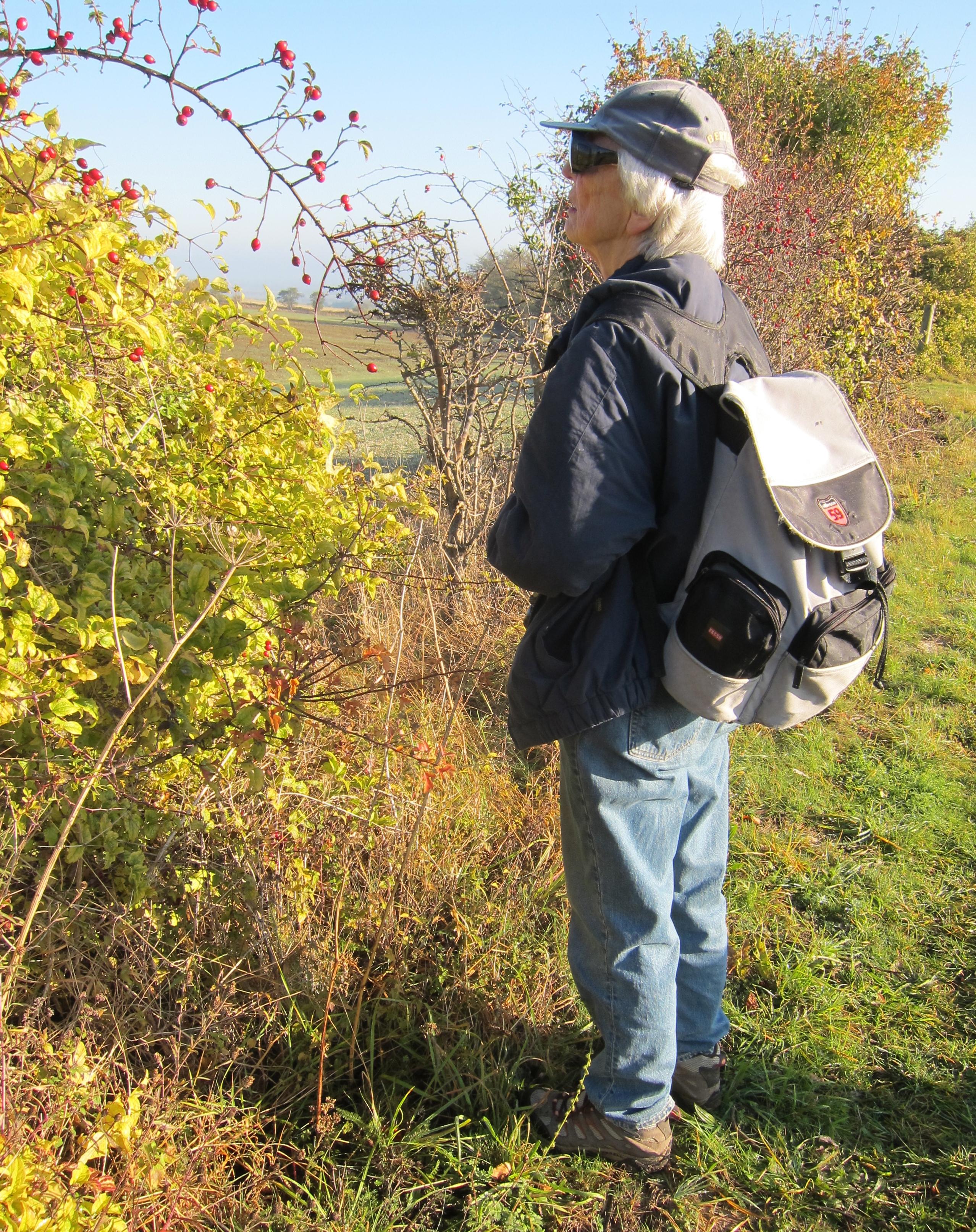 Tosh contemplates another session of autumnal harvesting.