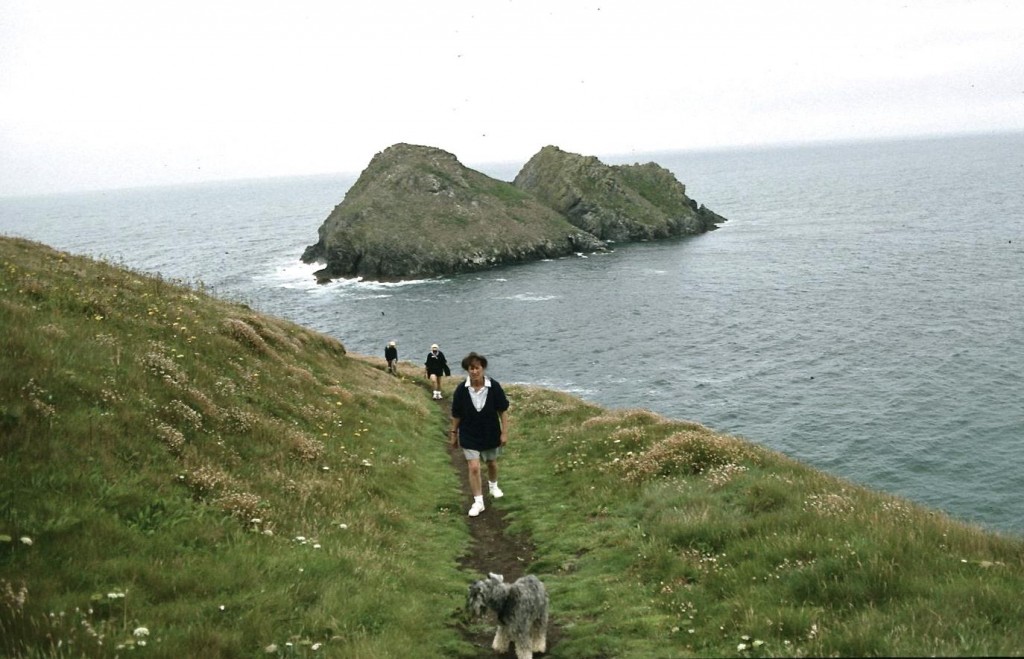 We have made a wrong turning on Penhale Point and must retreat.