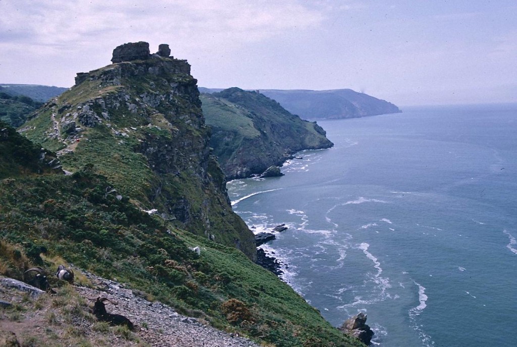 Goats in the foreground; Castle Rock behind