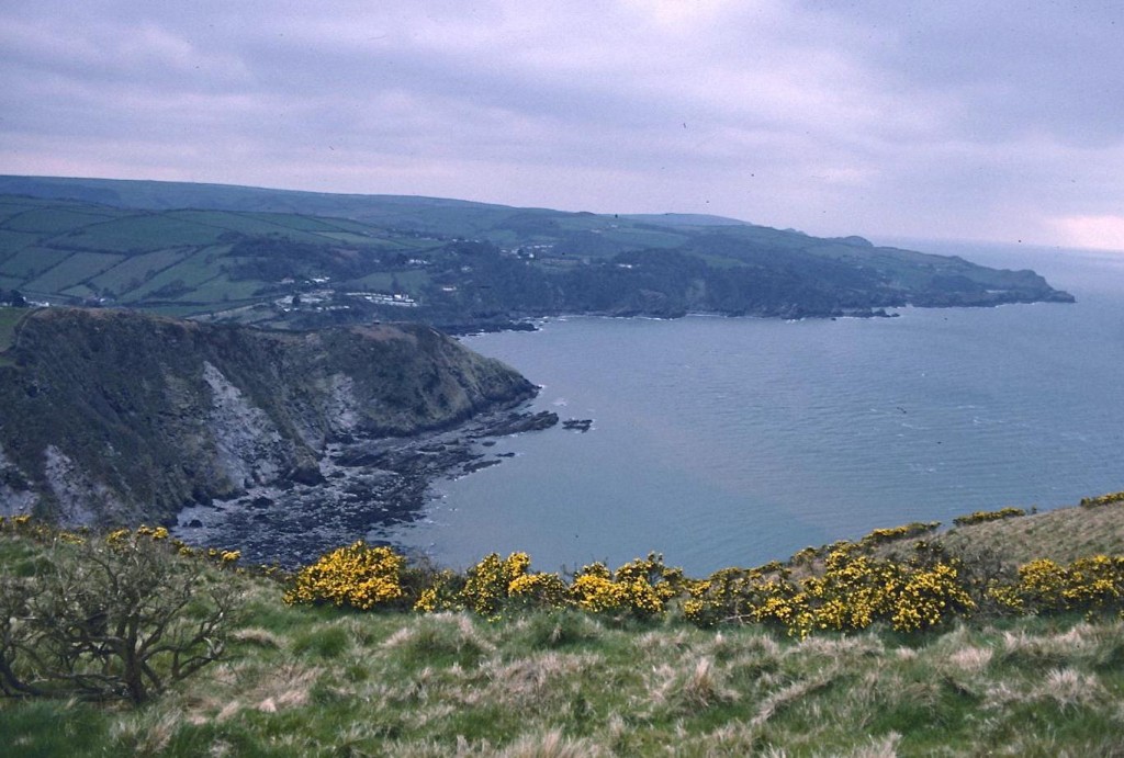 Above Wild Pear Beach