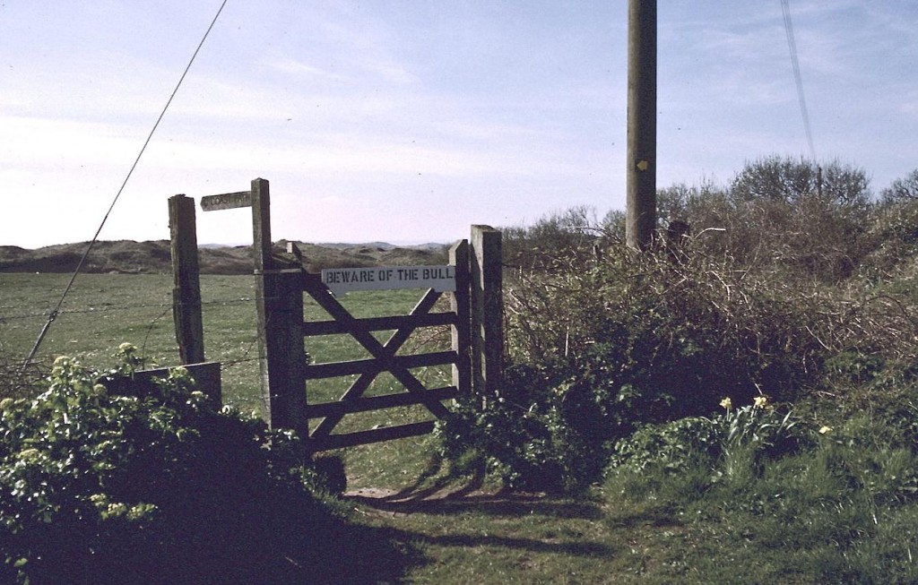 At the entrance to Braunton Burrows