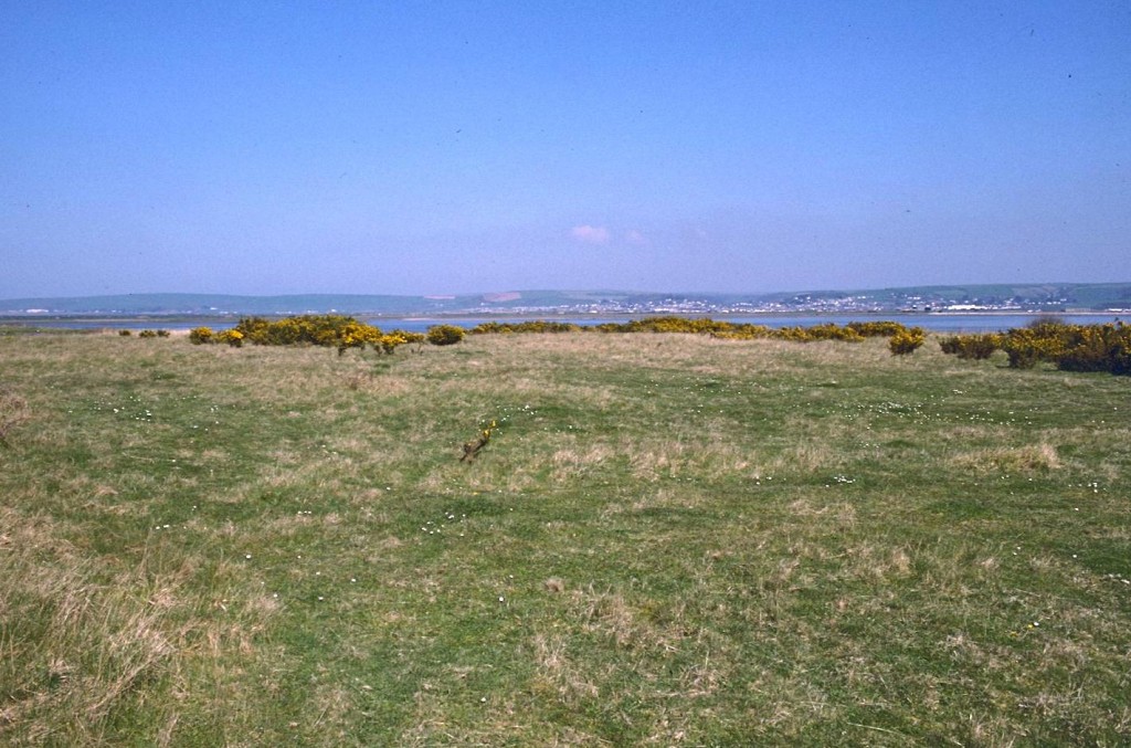 The Taw from the power station