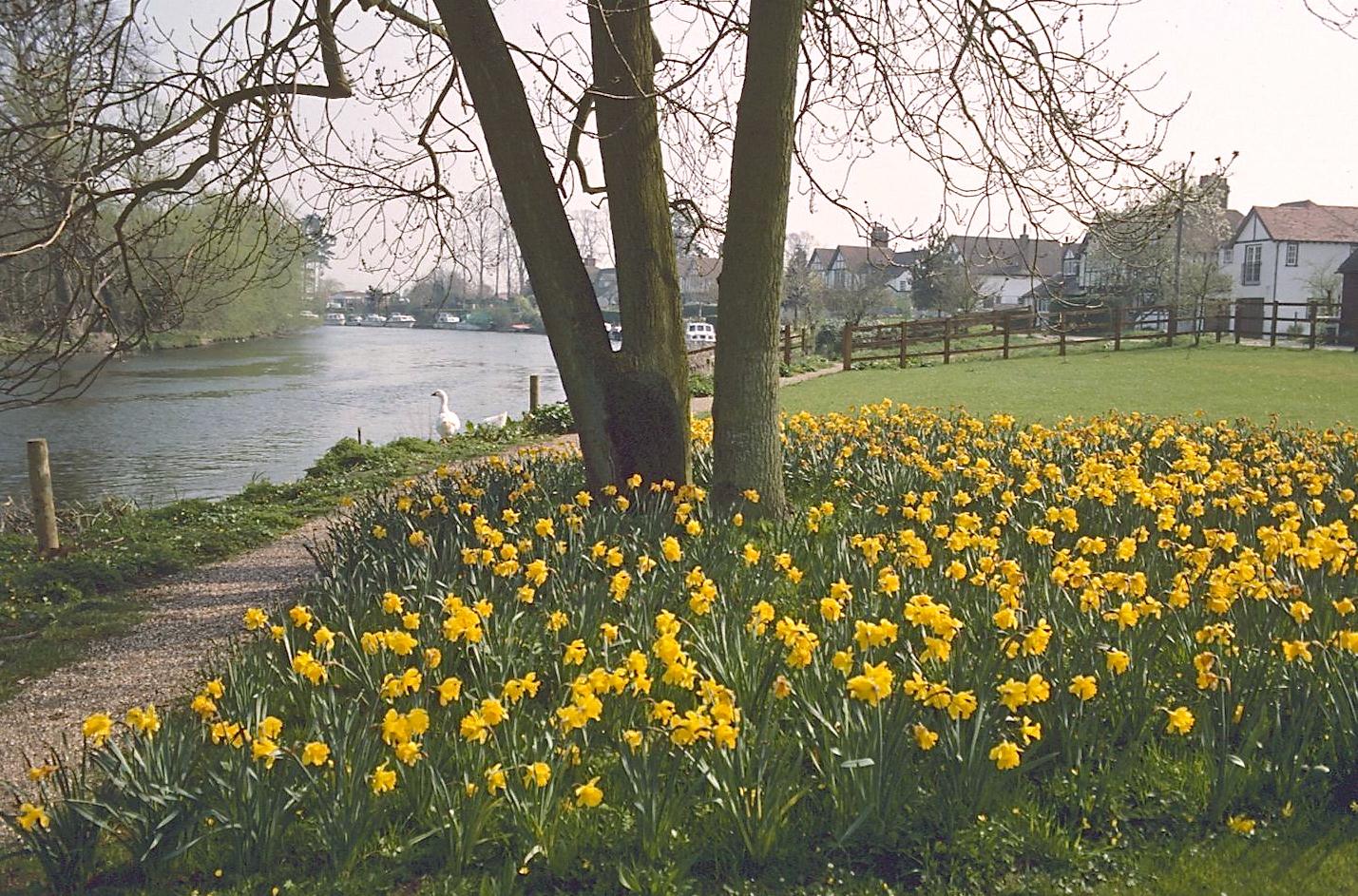 Near Frogmill