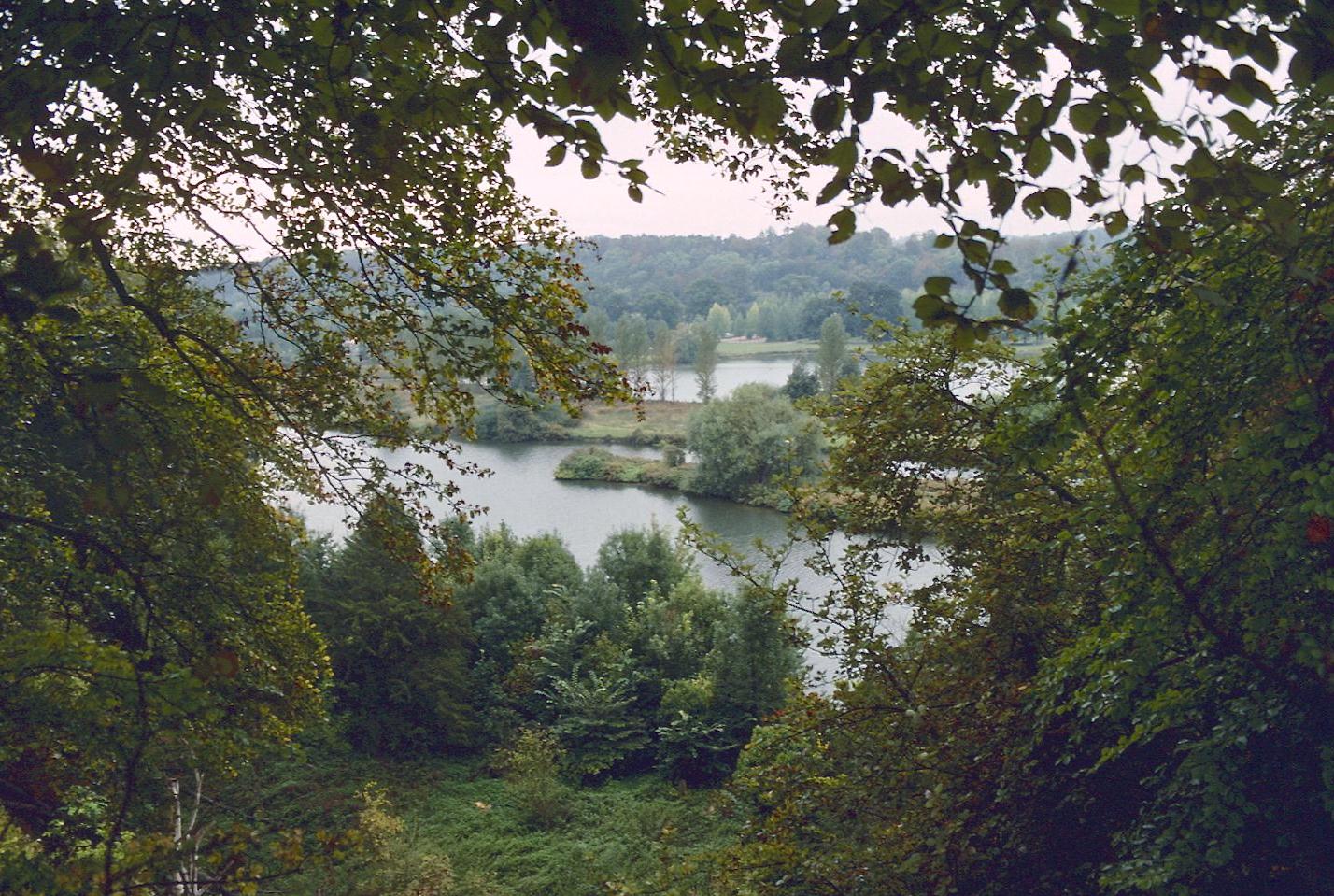 The Thames from Hartslock Wood