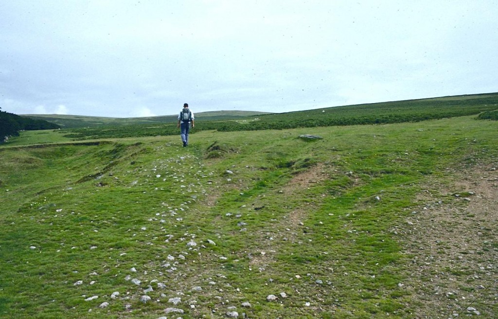 Gavan heads for the track of the Redlake tramway