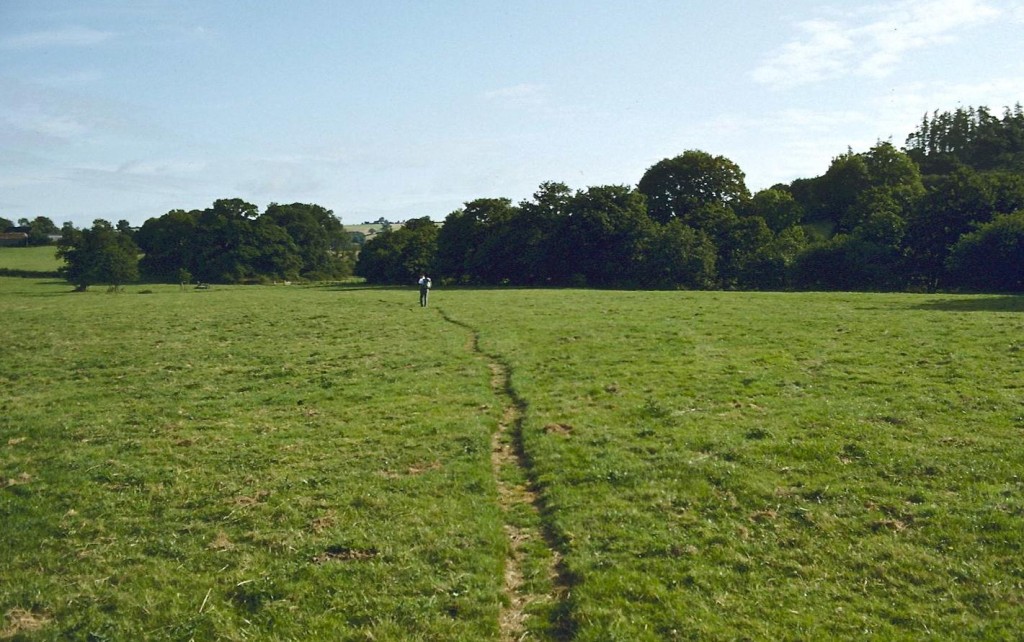 Crossing a meadow after Rushford Mill Farm