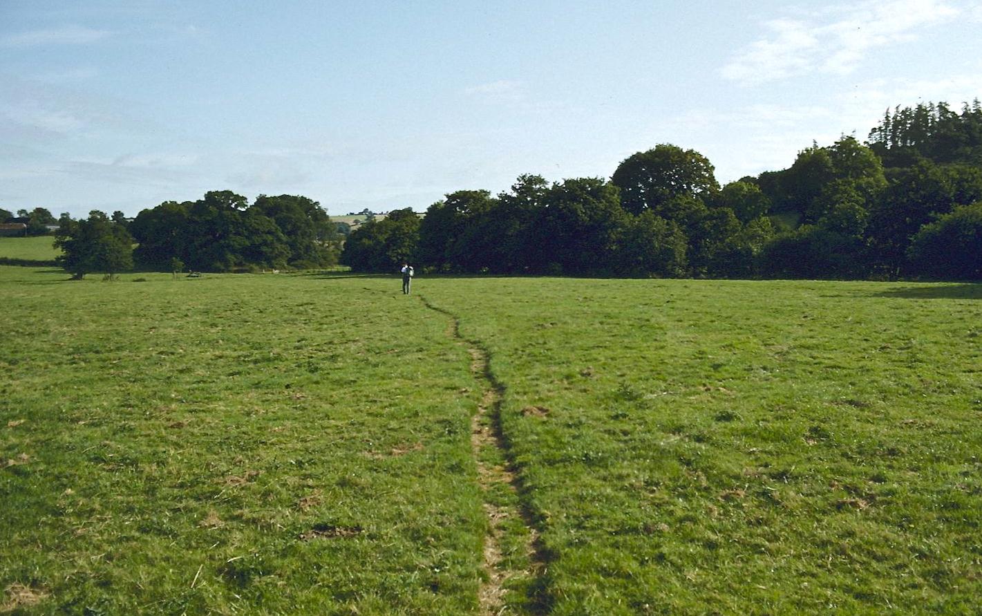 Crossing a meadow after Rushford Mill Farm