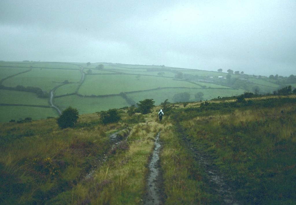 The descent to Dane’s Brook