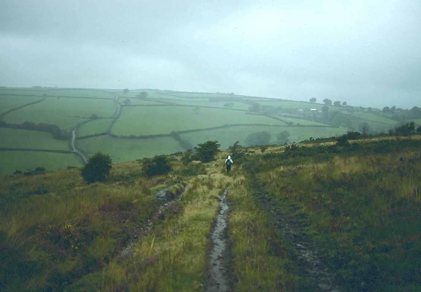 The descent to Dane’s Brook