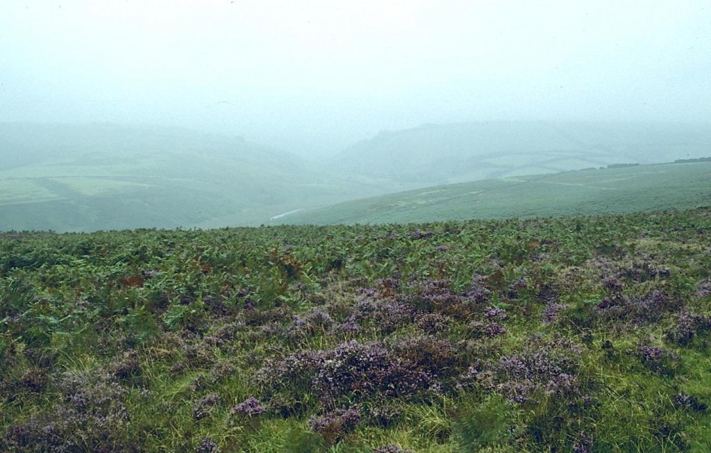 Far below us – the River Barle in the mist