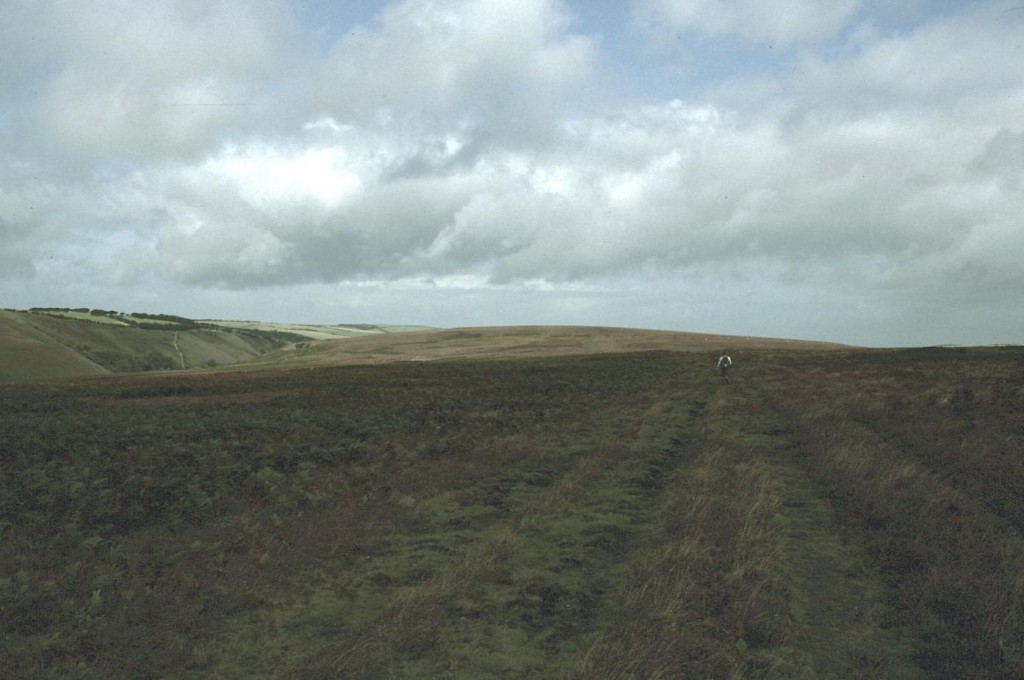 On Cheriton Ridge