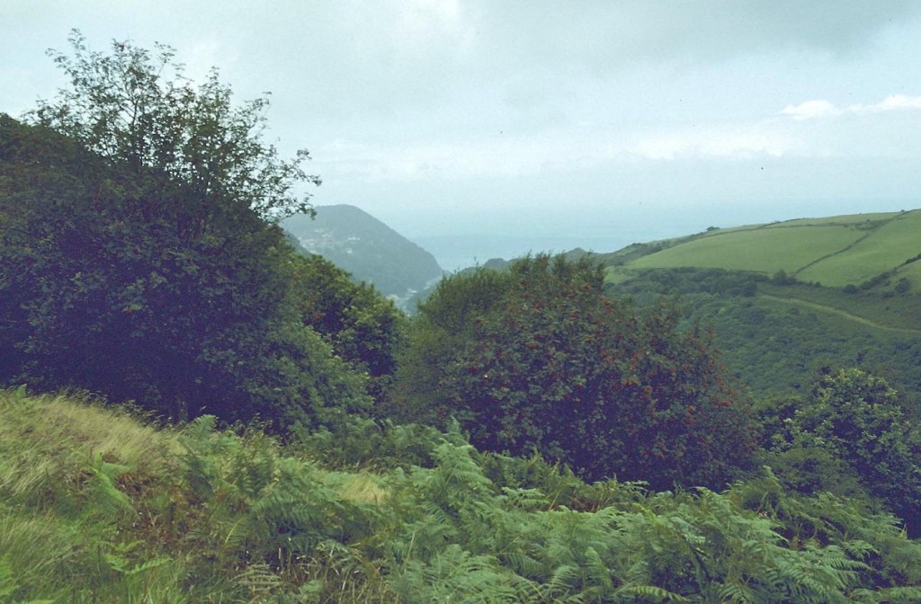 Lynton and Lynmouth from Myrtleberry Hangings
