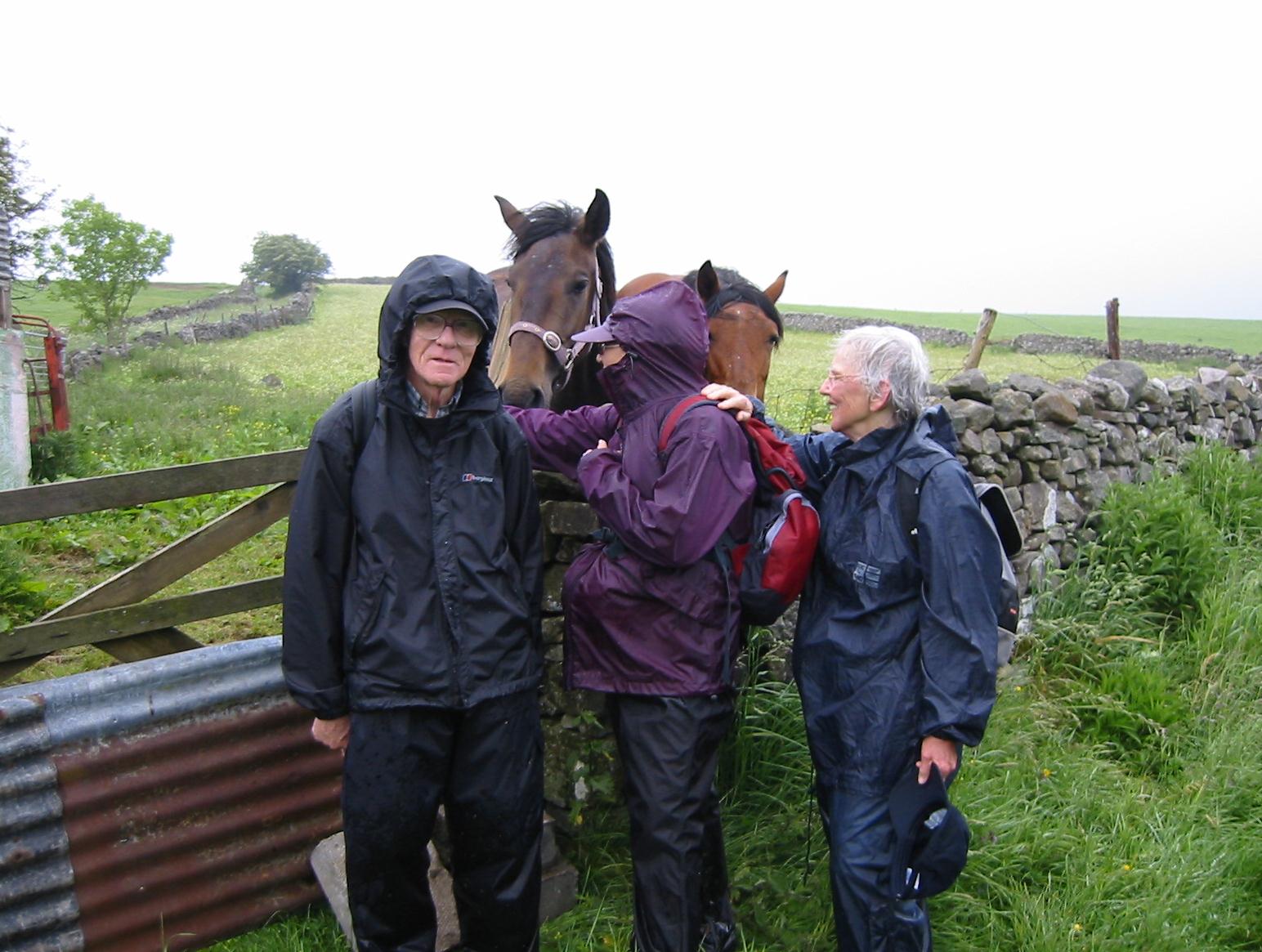 Harold, Marge and Tosh pause to greet some horses on the descent to Shap.