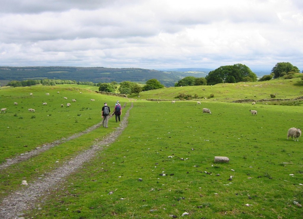 Beyond Low Fold Farm