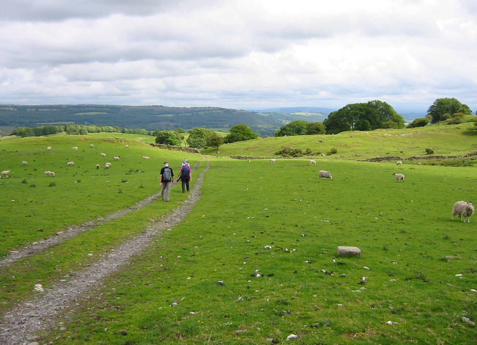 Beyond Low Fold Farm